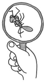 虫眼鏡でアリをみているイラスト