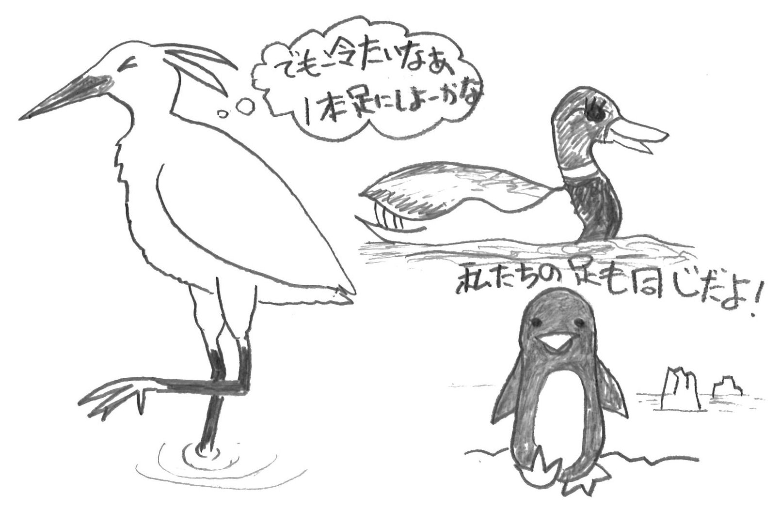 サギ、カモ、ペンギンのイラスト